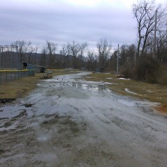 GungeMonkey: Muddy Ballpark Fun with Sneakers in Public