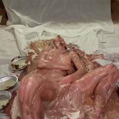 MessyAnt: MessyAnt Presents: Susan in Maid to Get Messy