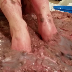 MessyAnt: MessyAnt Presents: Susan in Maid to Get Messy