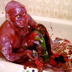 Plonk: A random pic dump appears