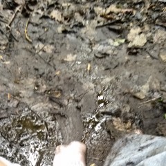 StickyGooeyNSlimy: Wet n muddy trip to the forest.