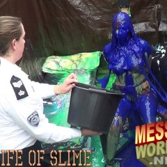 LiquidX: A Life Of Slime: Episode 4---The Images