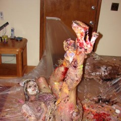 Plonk: A random pic dump appears