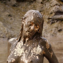 FOXY: final...  gold paint in deep mud