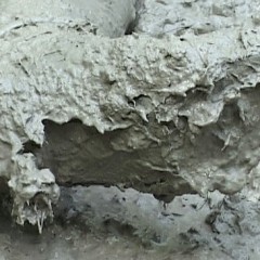FOXY: Video boobs in mud
