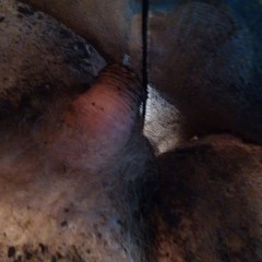 StickyGooeyNSlimy: Wet n muddy trip to the forest.