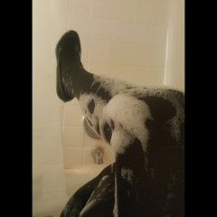 RedKaliSonya: New wet leg pics!