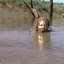 FOXY: Gold paint and total mud immersion