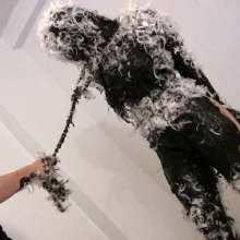 Messygirl: New Download!  This Cheerleader had it coming to her!