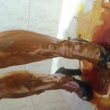 wam1266: part 1