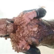 wam1266: new mess!  part 2