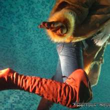 Tarzan: WetlookAdventure--15 Update in Download Store