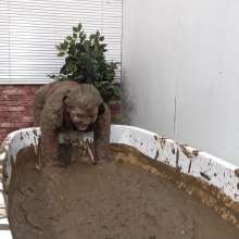 MostWam: Rhian Demonstrates Having A Mud Bath