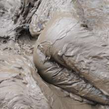 DungeonMasterOne: Mud!  Honeysuckle takes a river mudbath in a tight-fitting blue jumpsuit
