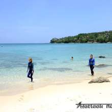 Tarzan: WetlookAdventure--On islands