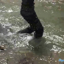 wamtec: Wet Jeans and Boots Girls updates