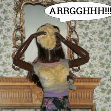 Twilight Man: Diminutive Divas:  Meet The New Divas!