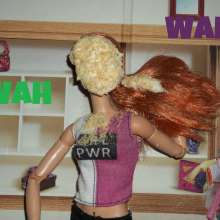 Twilight Man: Diminutive Divas:  Meet The New Divas!