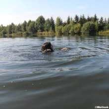 Perfectwetlook: Fur Coat in the Lake