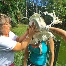 Nda: Pie Picture