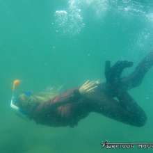 Tarzan: WetlookAdventure--On islands. Part I