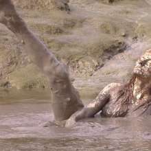 FOXY: New video maxi mud