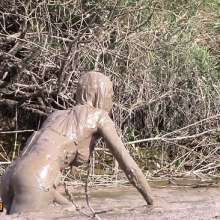 FOXY: New video maxi mud