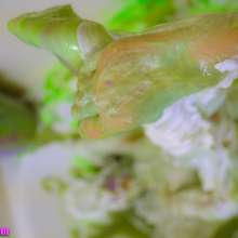 messyhot: Jade Gets Her First Total Gunge Experience