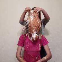 Top Messy Girls: Lisa Gets Chocolate Peanut Butter Pies.