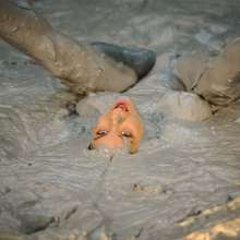 Mudicon20: Anabelle Pync's muddy adventures at mpv