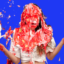 PieZone: It's a PieZone Video Sampler!