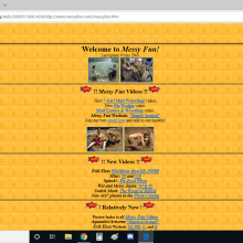 Stealthman: Wayback Machine Screencaps