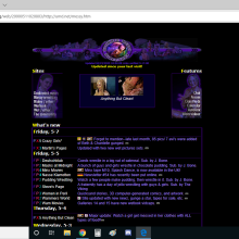 Stealthman: Wayback Machine Screencaps