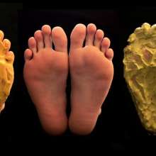 Gungedawg: Ant's Messy Bare Feet (Picture Pack)