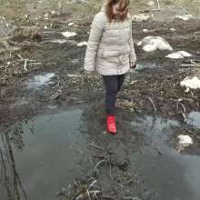 Northern Wam: Forest Wetness