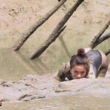 FOXY: A wonderful mud video