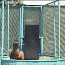 doctor_splash: Dunk Tank Featuring mj and Dallas