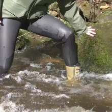 WetandMuddy: Video 71--A Walk on the Wild Side