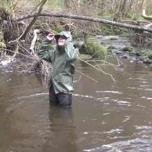 WetandMuddy: Video 71--A Walk on the Wild Side