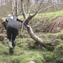 WetandMuddy: Video 71--A Walk on the Wild Side