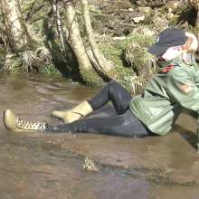 WetandMuddy: Video 71--A Walk on the Wild Side