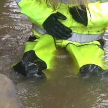 WetandMuddy: Video 72--Rock Bottom