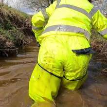 WetandMuddy: Video 72--Rock Bottom