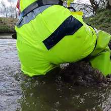 WetandMuddy: Video 72--Rock Bottom