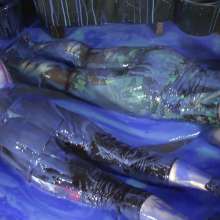 DungeonMasterOne: Gunge Filled Yoga Pants with Friday and Felicity!