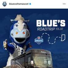 vision45: For anyone who wants to get pied a sports mascot
