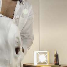 TeddyPie: Birthday's Shaving Cream Surprise