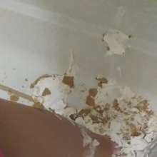 Missblueeyes7777: Messy Feet Fetish