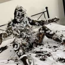Messygirl: Two New Messygirl Downloads with Misty and Zoey and Brittany's Mom