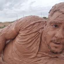 Polarwet: Muddy in a Mud Pit